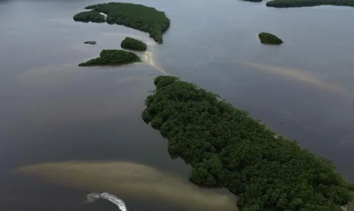 Países consideram insuficientes ações contra crise da biodiversidade